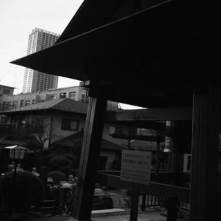voigtlnder-superb-1933--skopar-75mm-f35-with-y-filter--kodak-tri-x-400-location-yotsuya-tokyo-japan-march-24-2017_33625023801_o.jpg